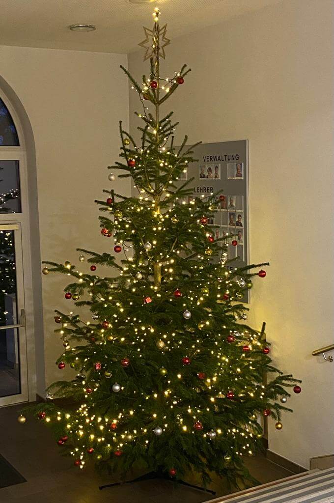 Geschmückter Weihnachtsbaum im Eingangsbereich